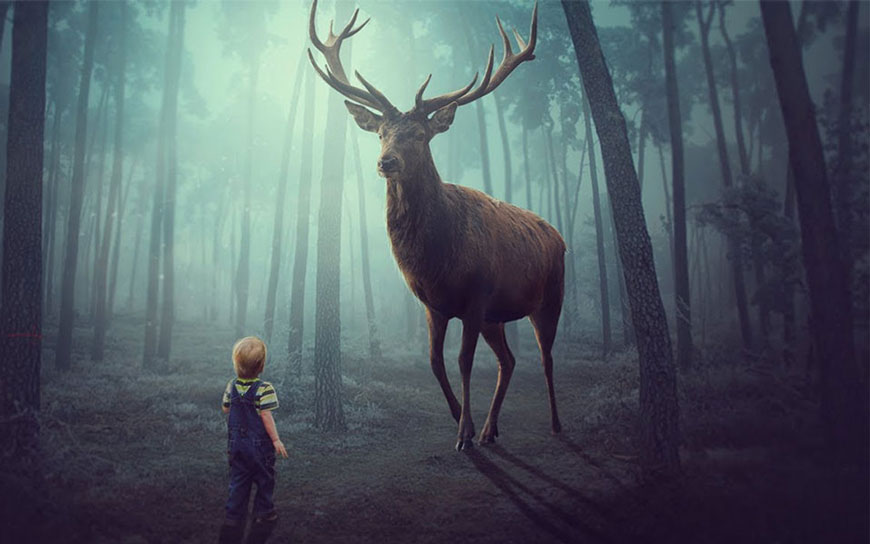 PS教程！教你合成梦幻丛林中小男孩和麋鹿场景（含素材下载）