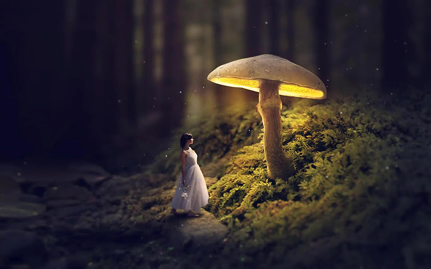 PS教程！教你合成发光的蘑菇童话风格场景（含素材下载）